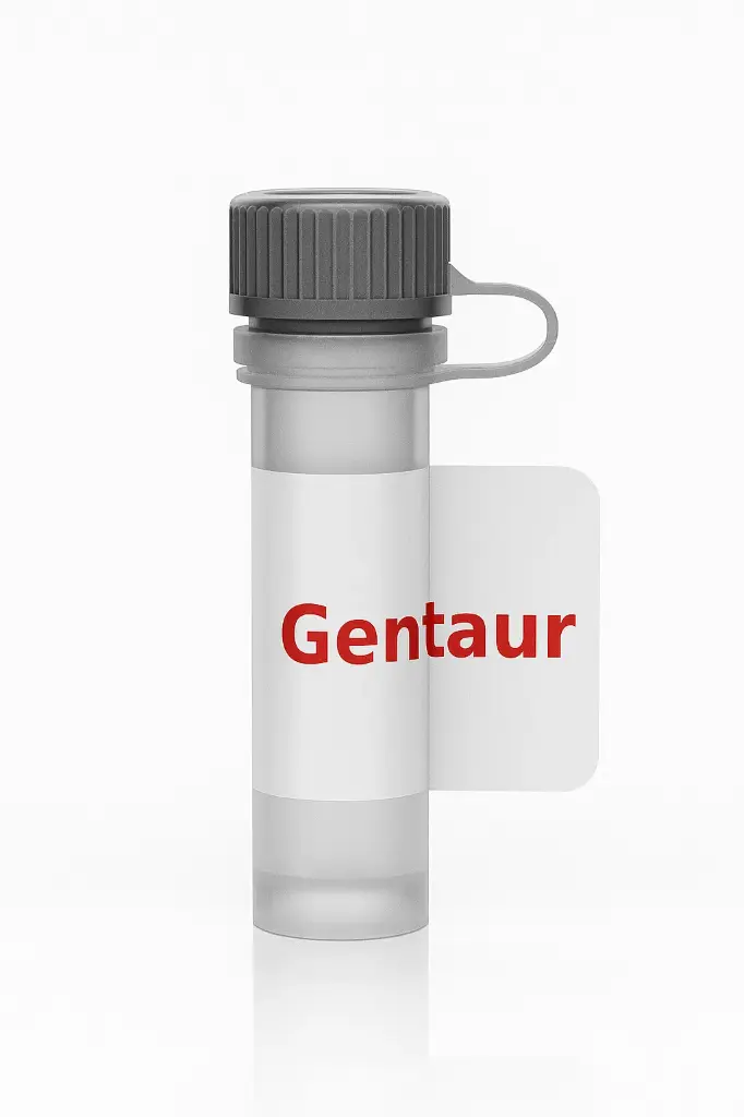 2-mercapto-benzothiazole, HRP