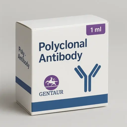 (KO Validated) TAGLN2 Polyclonal Antibody