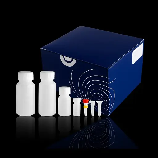  Magbead  Exosome DNA Purification Kit (25 rxns)