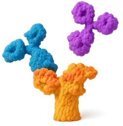 Mouse Anti-Human IgM - LiFluor 405 (100 μl)