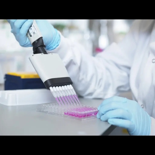 [E10023b] Bovine CD3G / T cell surface glycoprotein CD3 gamma chain ELISA Kit