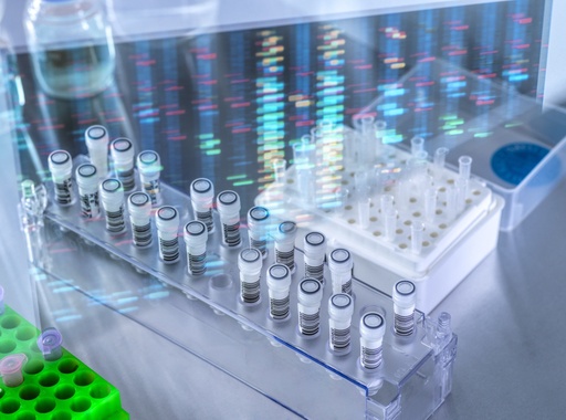 [GEN-BXH1016-5sa] pMEV2HA-YAP2-5SA