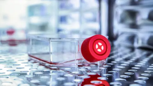 [BOC-0742-12] Mouse Peripheral Blood Primary Cell Culture Serum Free Media